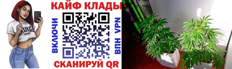 Купить закладку СК  АМФ  КОКАИН  ТГК  Меф  Лысково