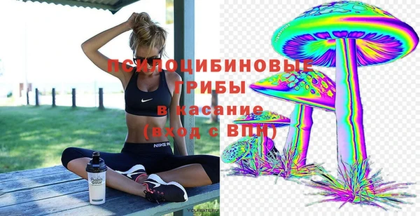 дживик Зерноград