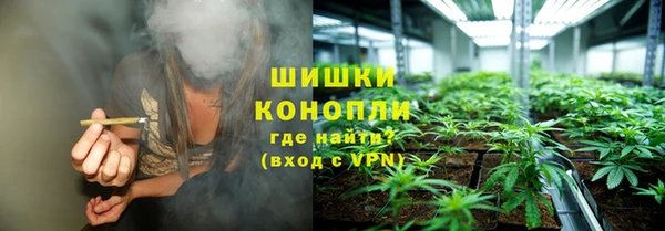 дживик Зерноград